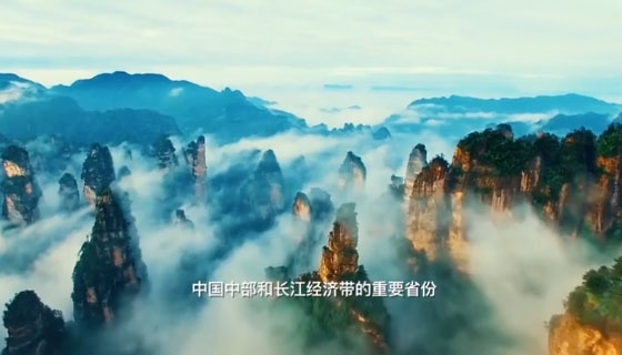  張家界被外交部全球推介，桑植白茶亮相冷餐招待會(huì)！ 