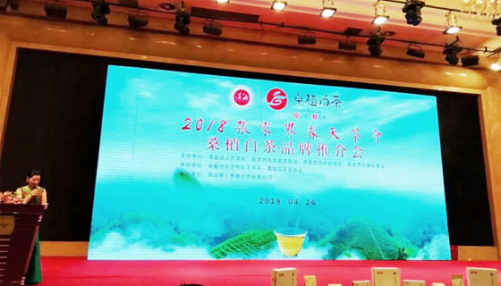 相約春天，湘豐桑植白茶正式發(fā)布 