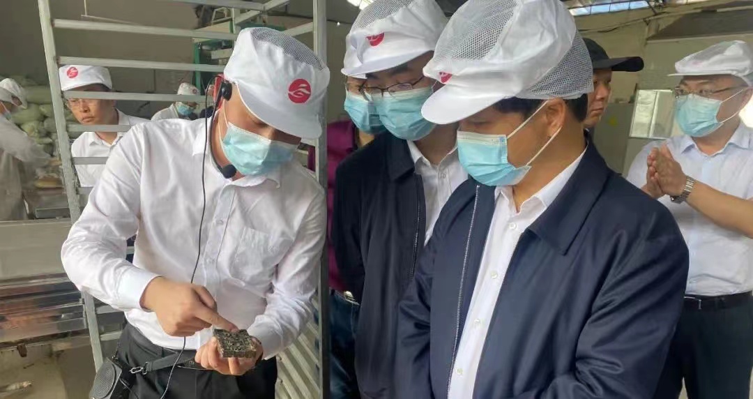 湖南省科技廳副廳長周建元帶隊(duì)考察調(diào)研湘豐桑植白茶公司