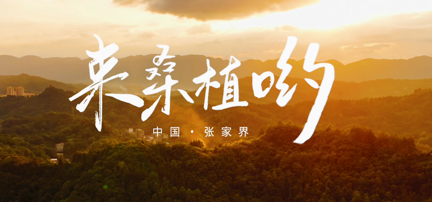 桑植推廣歌曲《來桑植喲》發(fā)布！