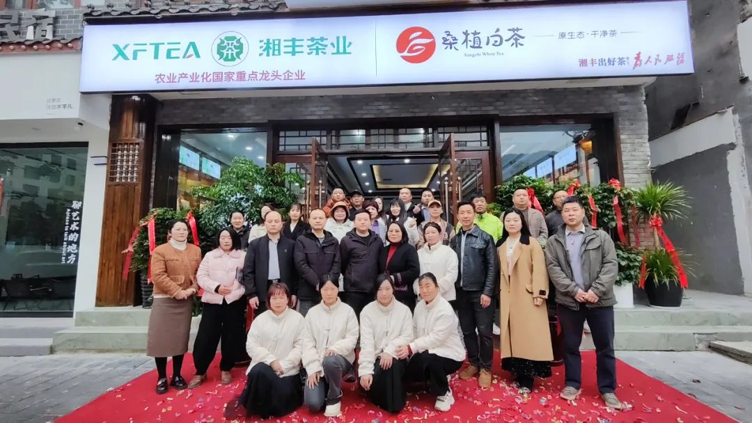 湘豐茶業(yè)·桑植白茶張家界武陵源旗艦店盛大開業(yè)！